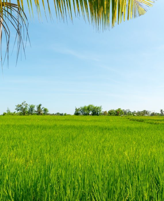 agricultural consultants