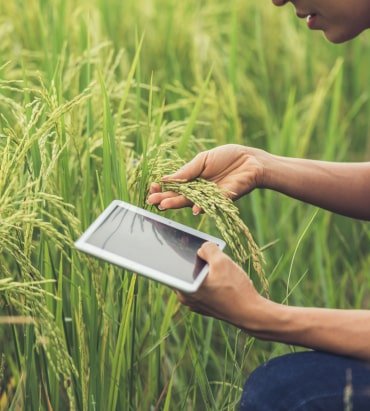 commercial agriculture farming